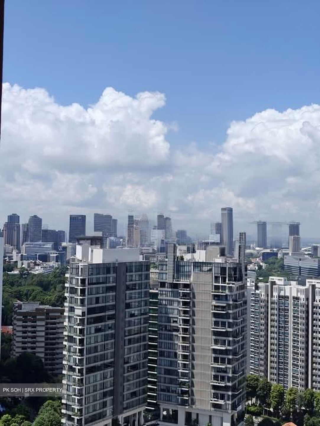 The Ritz-Carlton  (D9), Condominium #579310591